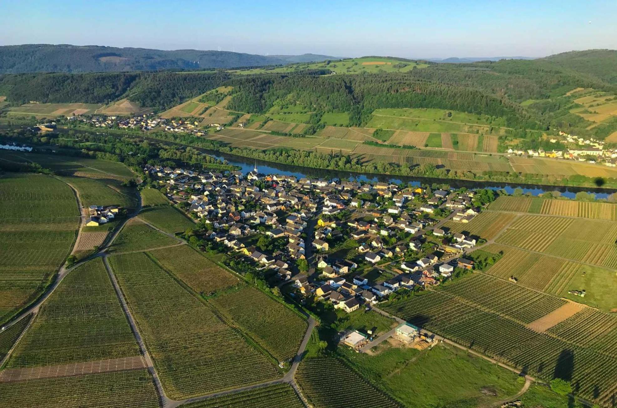 Ferienwohnungen Moselterrasse Detzem 外观 照片